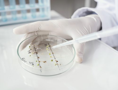Hoja de ruta desde la obtención de un nuevo ingrediente, nutraceutico o alimento funcional, su validación funcional, el marco regulatorio y la llegada al mercado